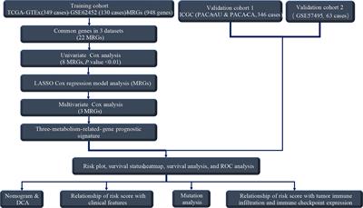 Prognostic Value and Correlation With Tumor Immune Infiltration of a Novel Metabolism-Related Gene Signature in Pancreatic Cancer